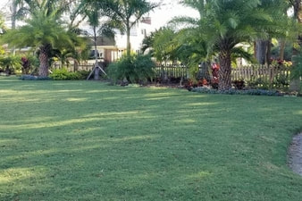 Landscaping and Sod Installation Tampa FL