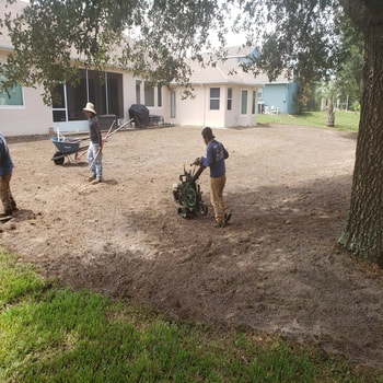 residential sod companies Tampa